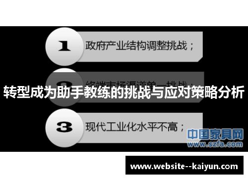 转型成为助手教练的挑战与应对策略分析